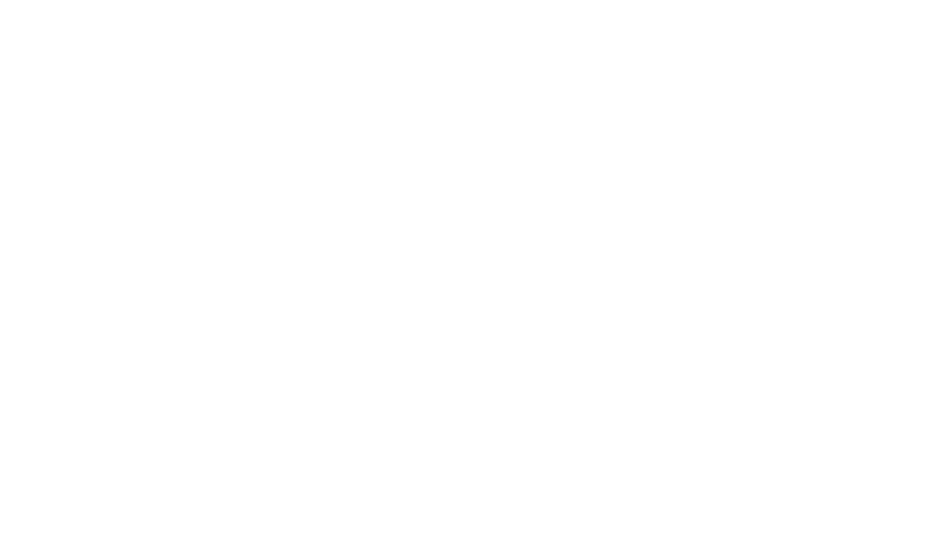 Rally Baygol